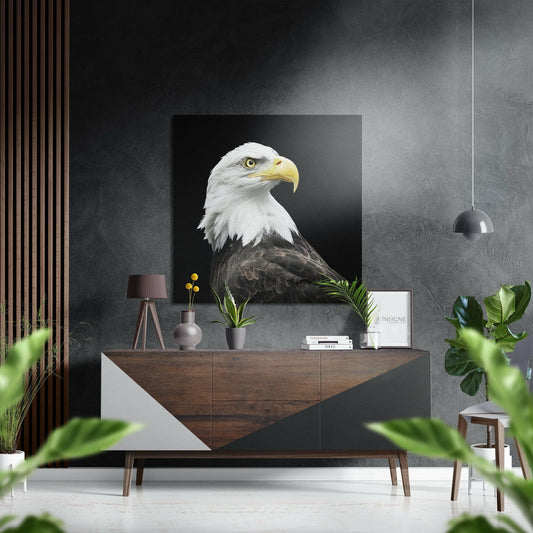 Eagle Brushed Aluminium Dibond Wall Art