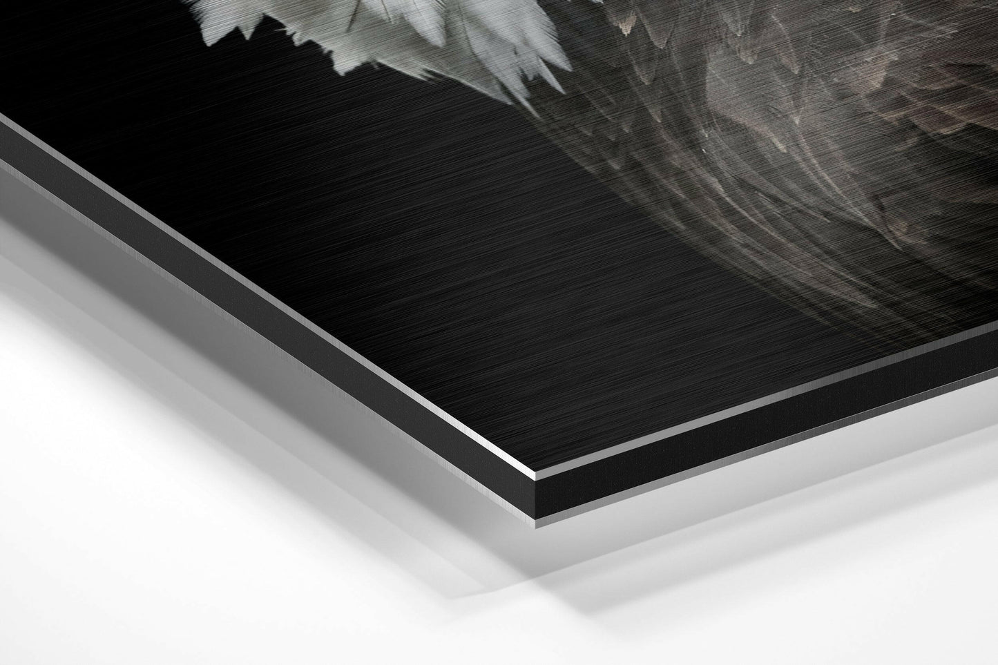 Eagle Brushed Aluminium Dibond Wall Art