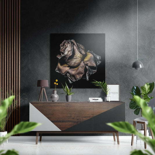 Rose Brushed Aluminium Dibond Wall Art