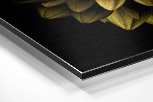 Flower Brushed Aluminium Dibond Wall Art
