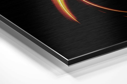 Capricorn Brushed Aluminium Dibond Wall Art