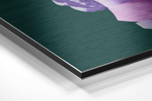 The Art of Sculpture Brushed Aluminium Dibond Wall Art