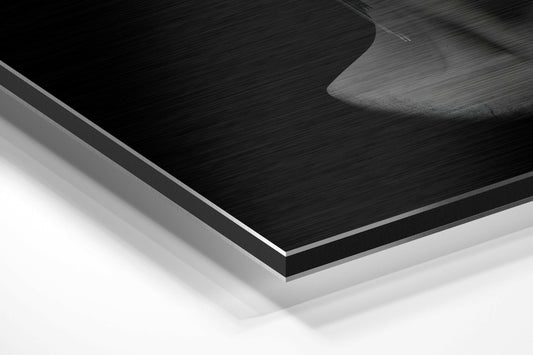 The Art of Sculpture Brushed Aluminium Dibond Wall Art