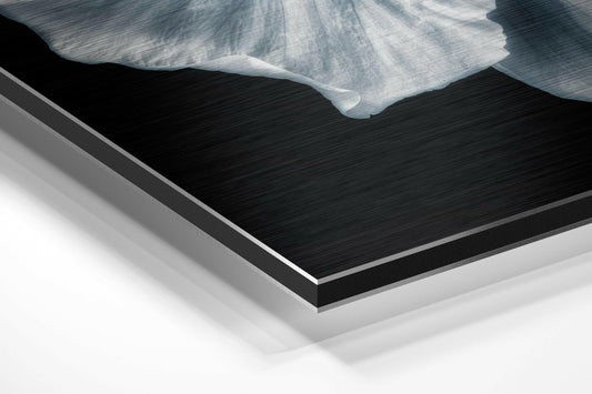 Flower Brushed Aluminium Dibond Wall Art