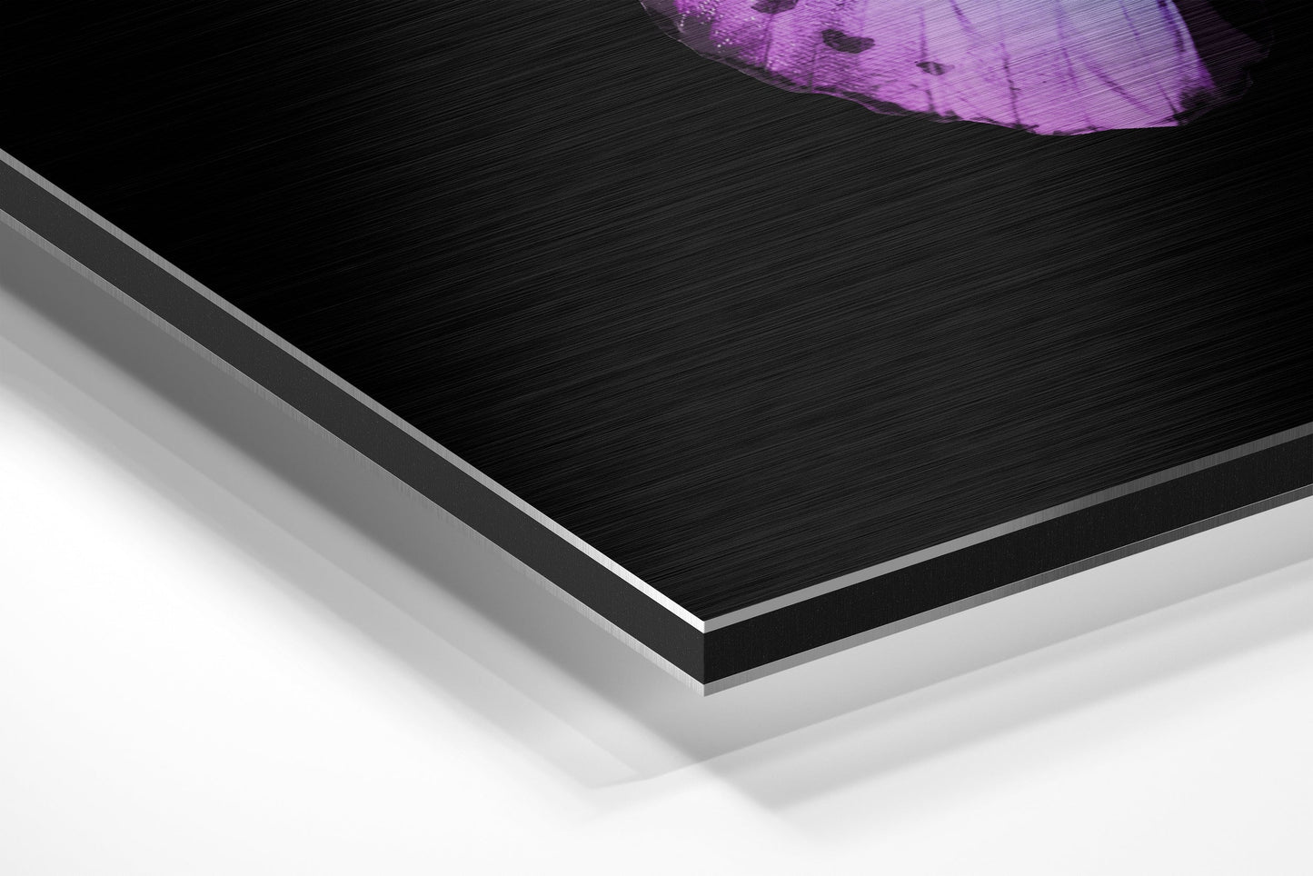 Butterfly Brushed Aluminium Dibond Wall Art