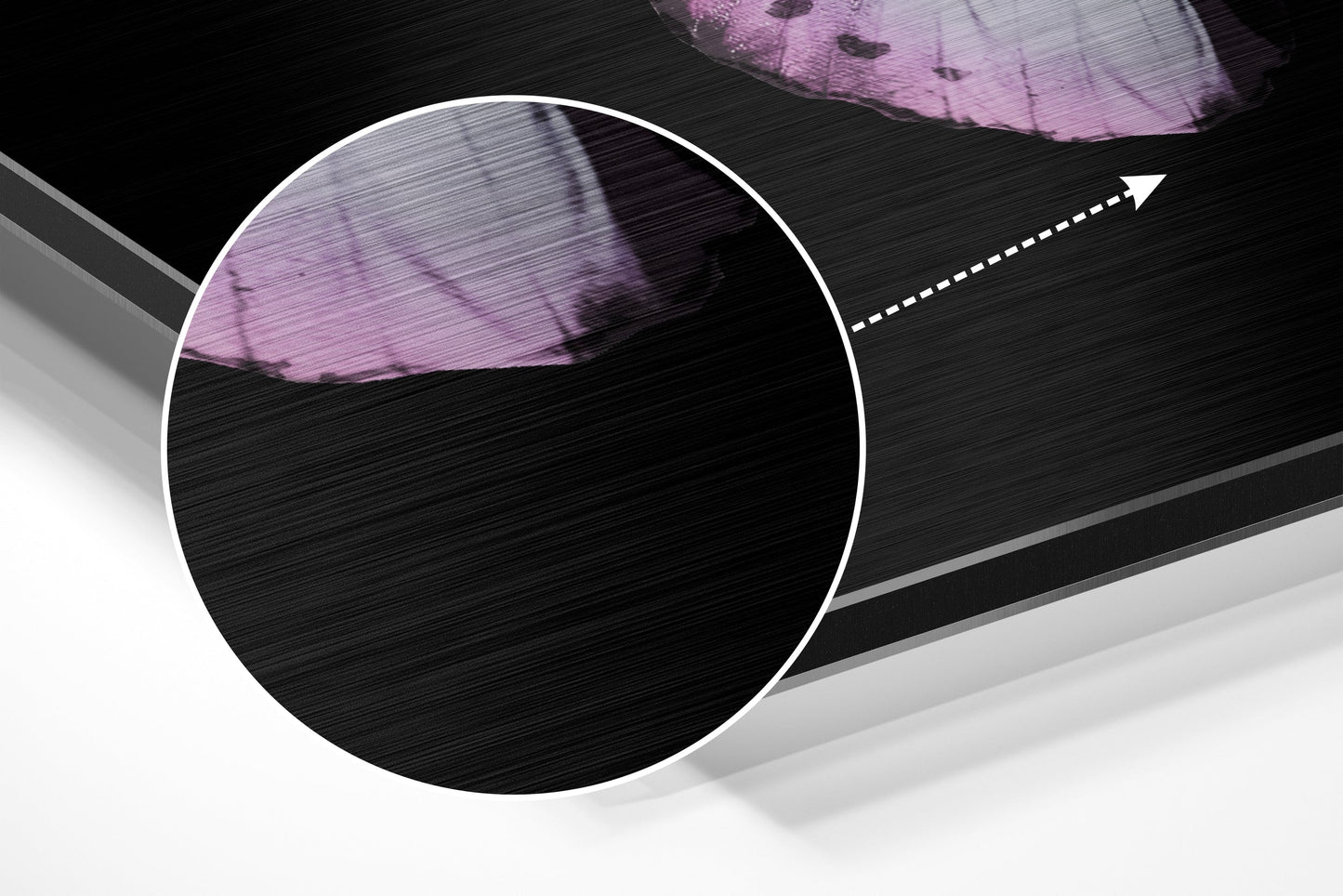 Butterfly Brushed Aluminium Dibond Wall Art