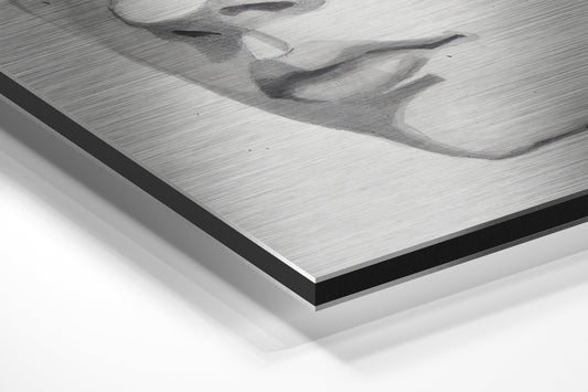 The Kid Brushed Aluminium Dibond Wall Art