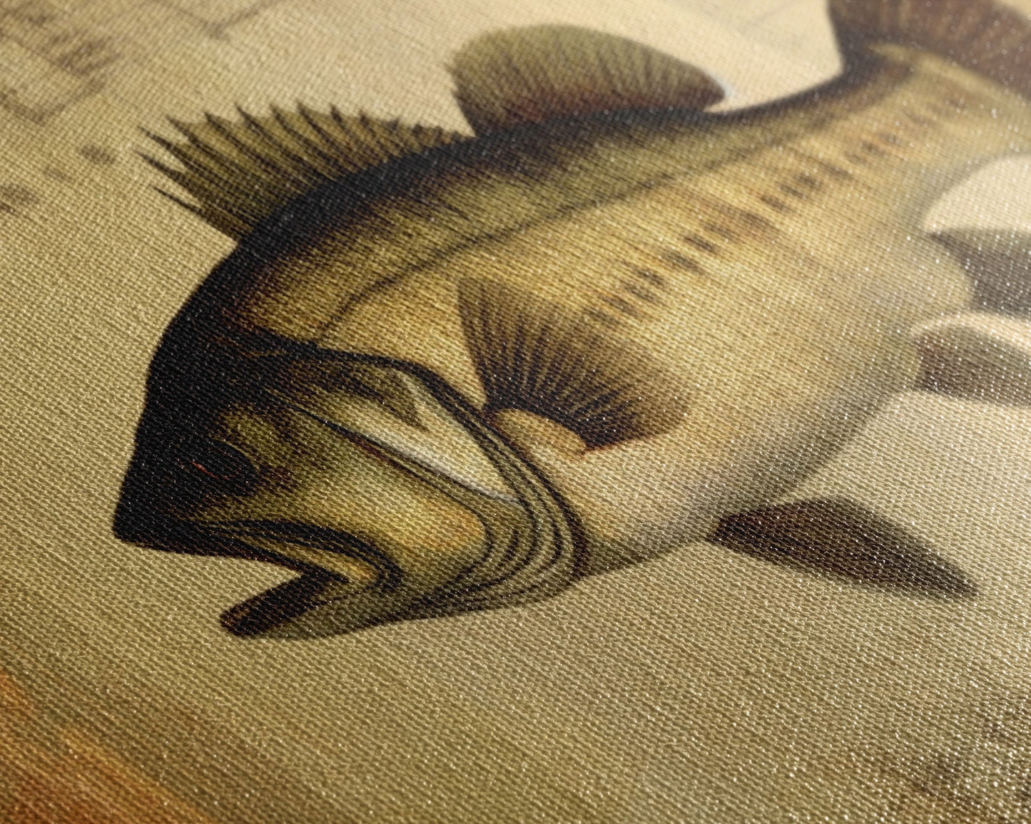 Fish Wall Decor, Animal Wall Art, Nature Wall Art, Minimalist Wall Decor, Panoramic Wall Decor, Canvas Print, Wall Art, Framed Canvas Art