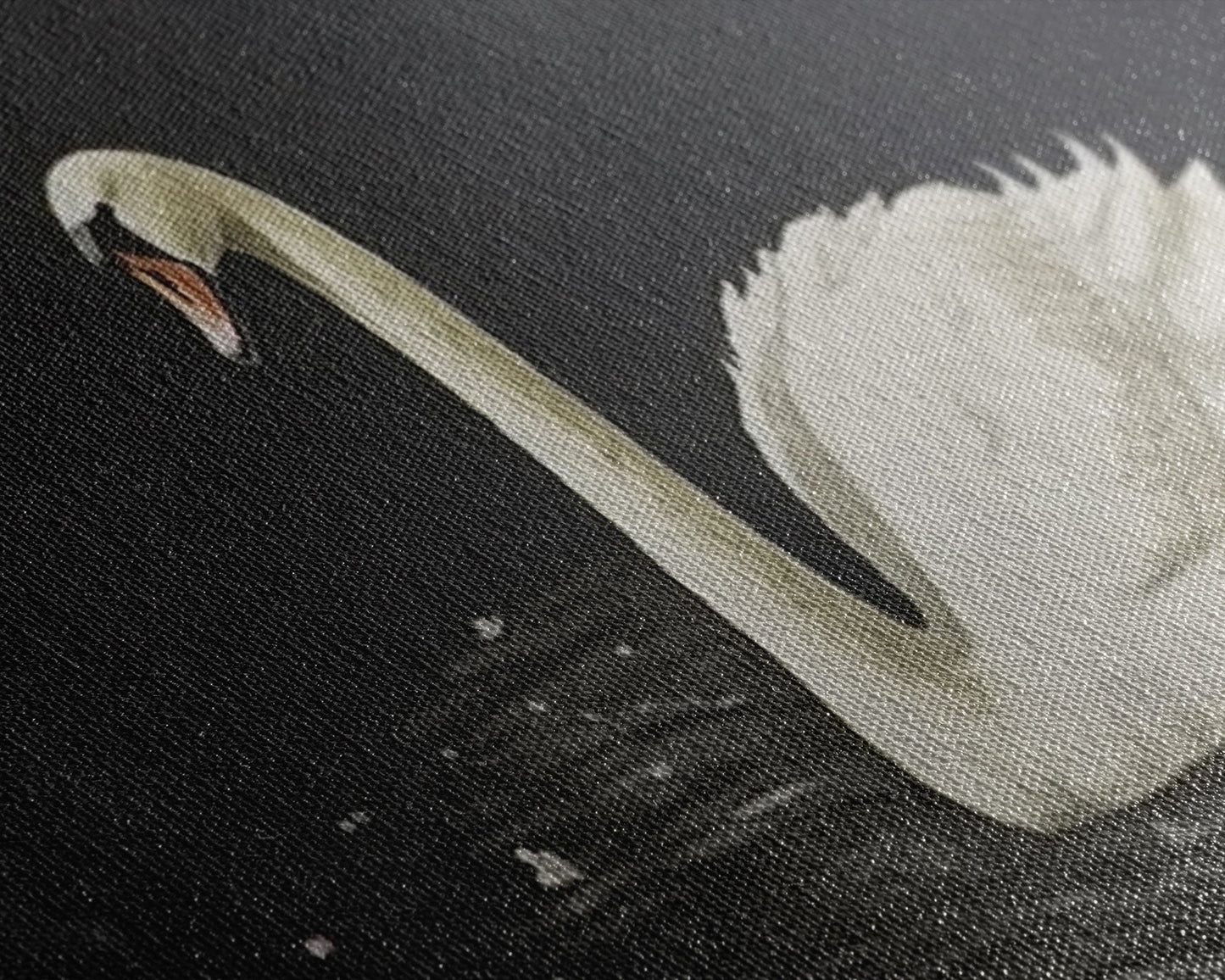 The Black Swan, Vintage Framed Canvas Art, Retro Framed Vintage Print, Vintage Painting, Black Swan Art, Girls Room or Nursery print