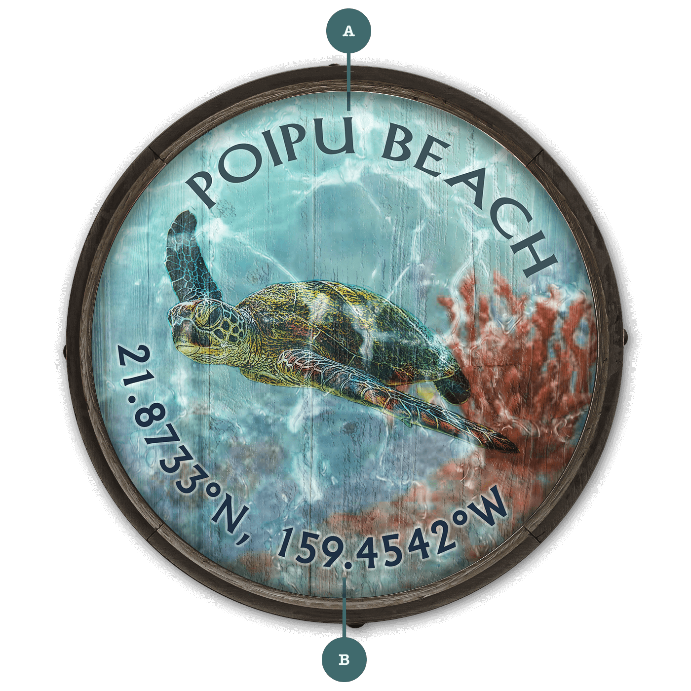 A Sea Turtle's Adventure - Barrel End Wall Art