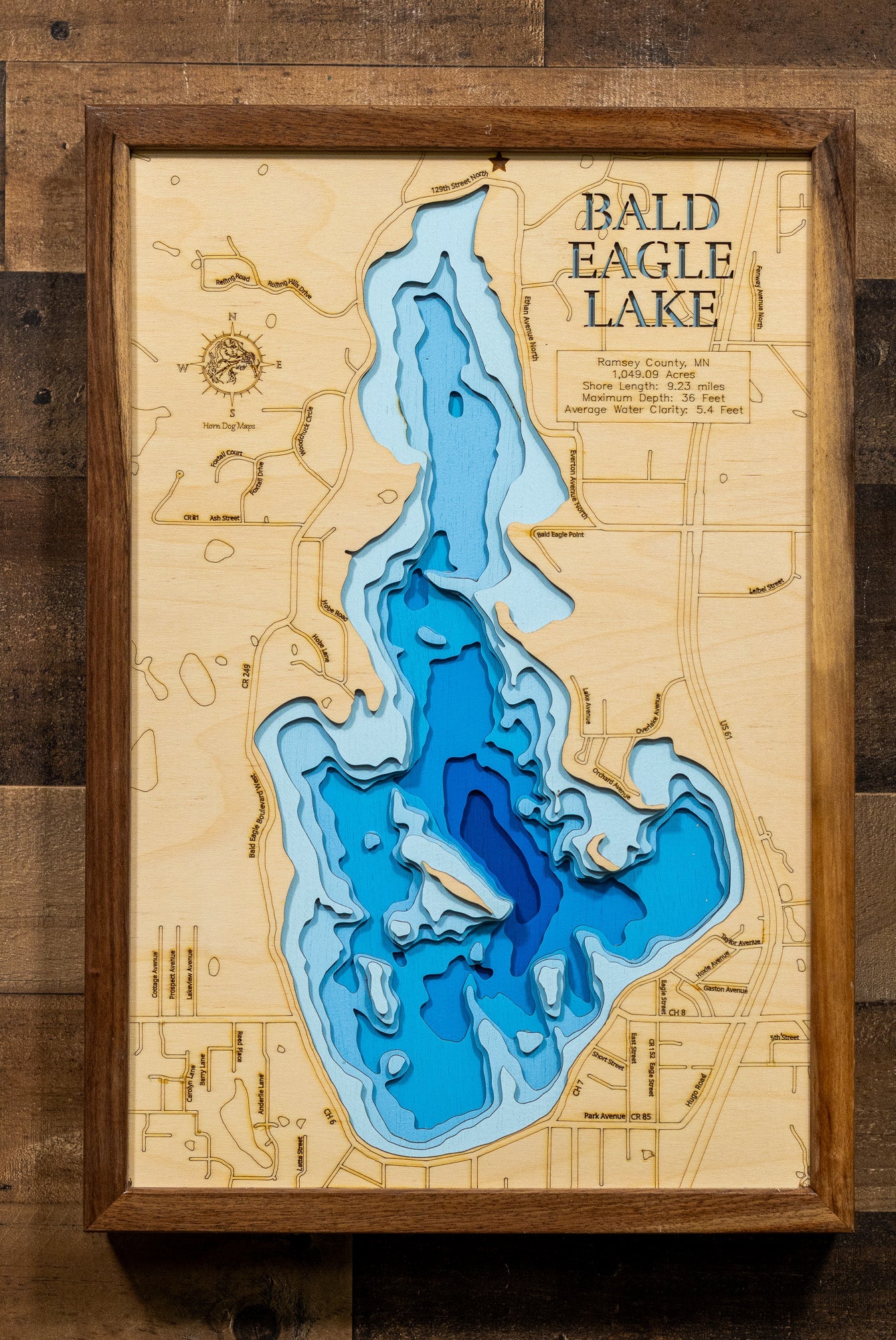 Bald Eagle Lake in Ramsey County, Minnesota