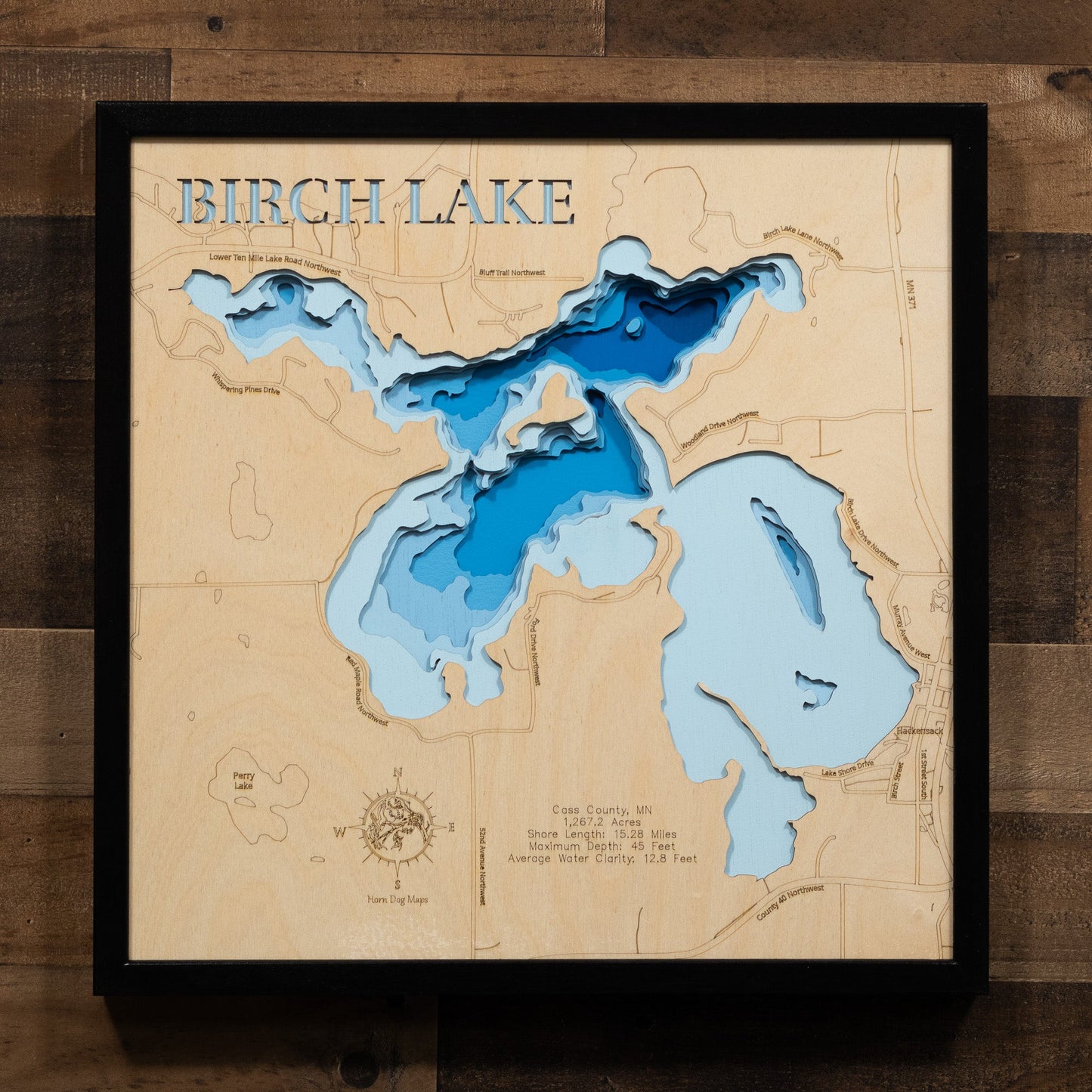 Birch Lake in Cass County, Minnesota