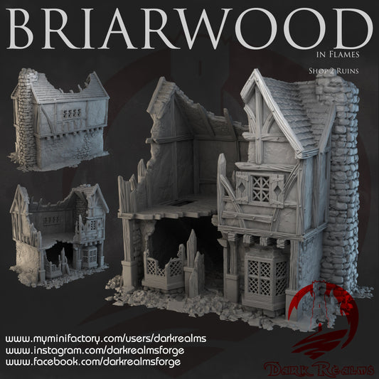 Briarwood Shop 2 Ruins
