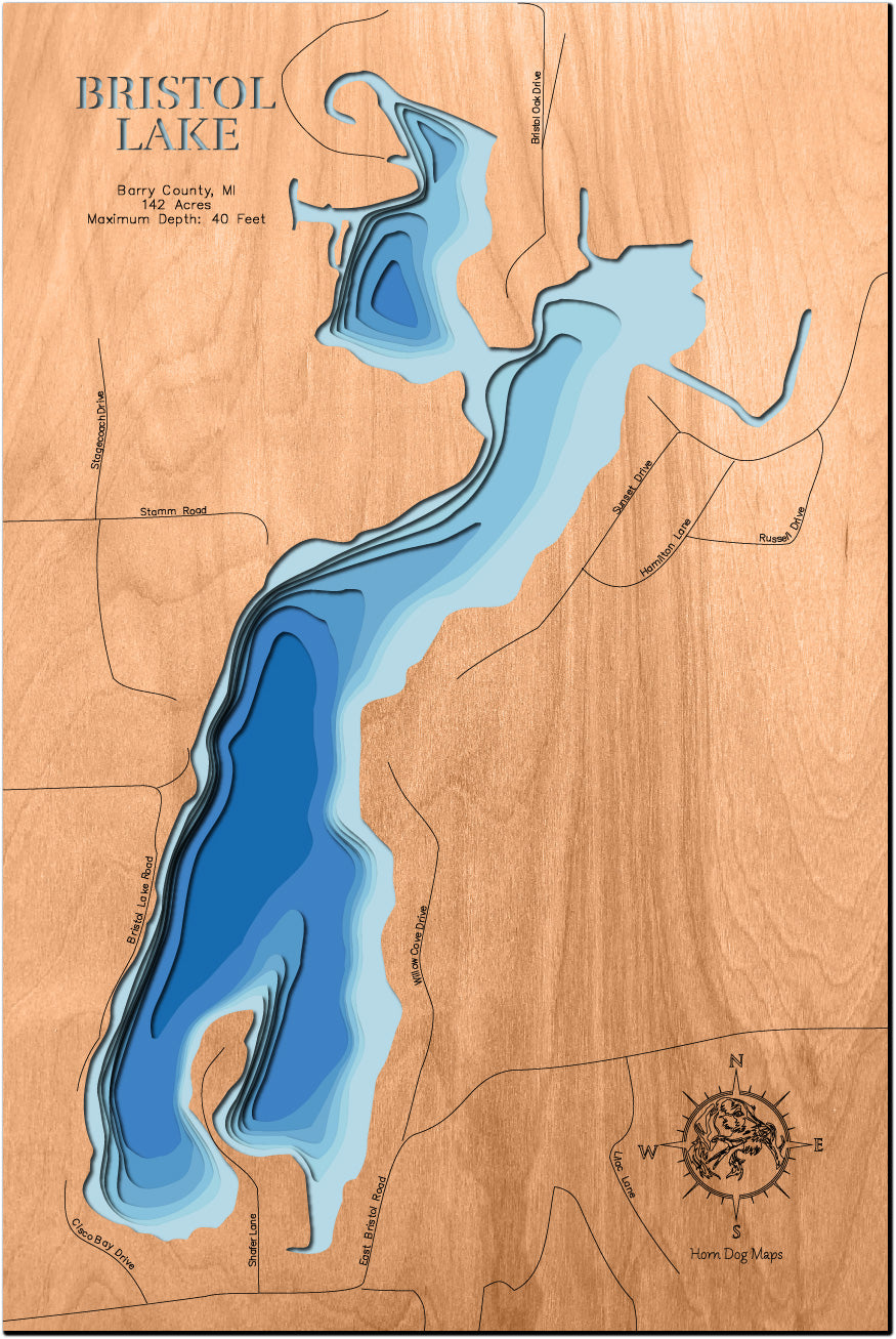 Bristol Lake in Barry County, Minnesota