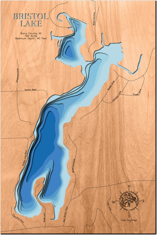 Bristol Lake in Barry County, Minnesota