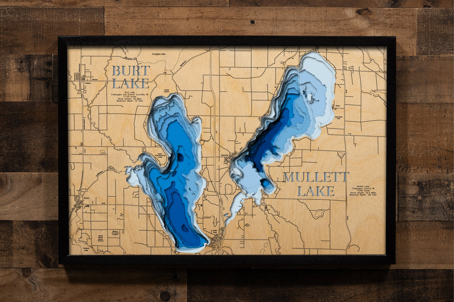 Burt Lake and Mullett Lake in Cheboygan County, Michigan