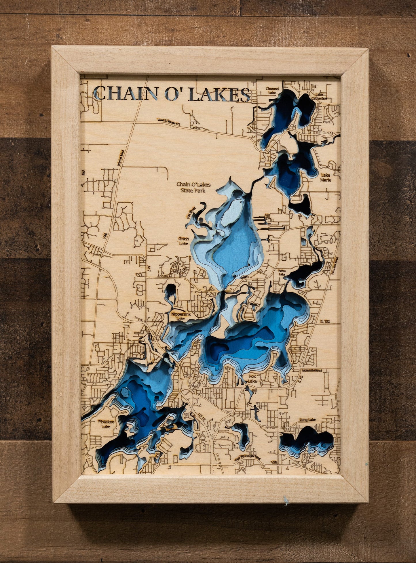 Chain O' Lakes in Lake and McHenry Counties, Illinois