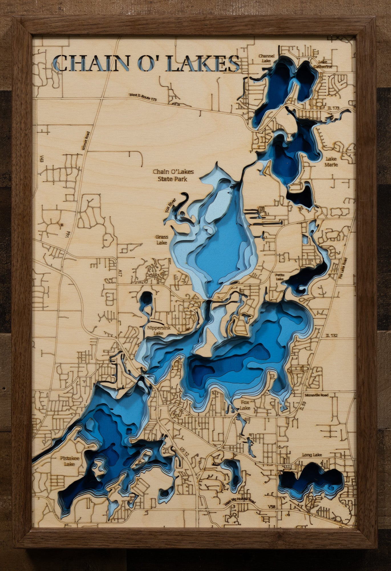 Chain O' Lakes in Lake and McHenry Counties, Illinois