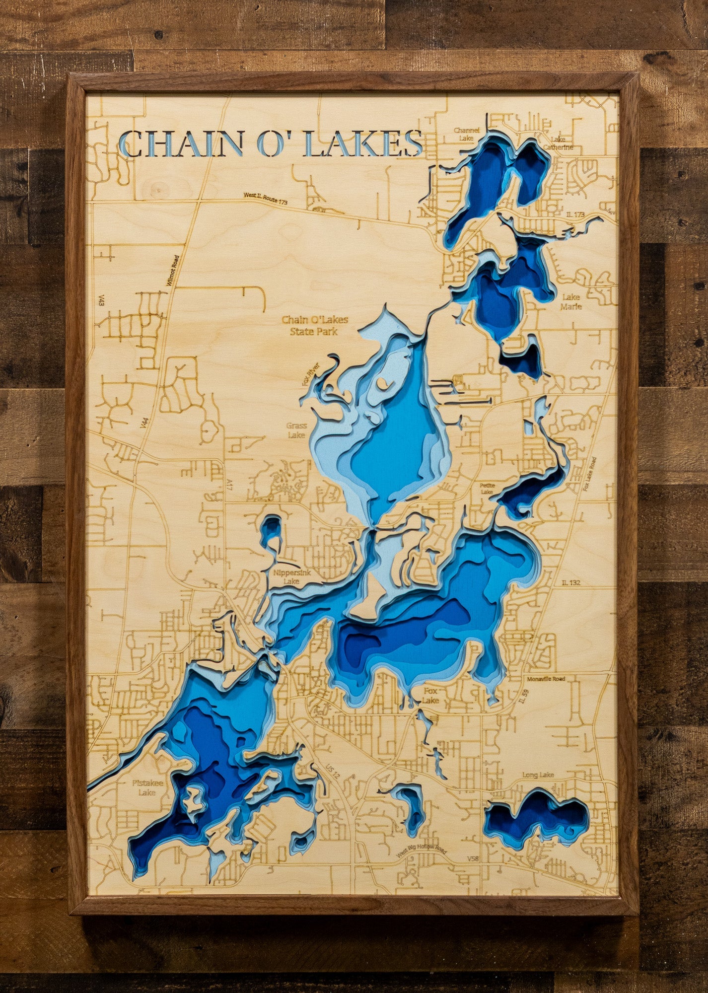 Chain O' Lakes in Lake and McHenry Counties, Illinois