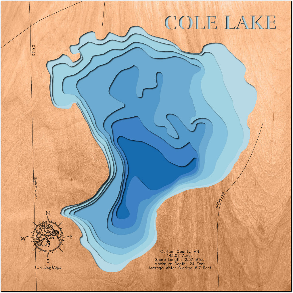 Cole Lake in Carlton County, Minnesota