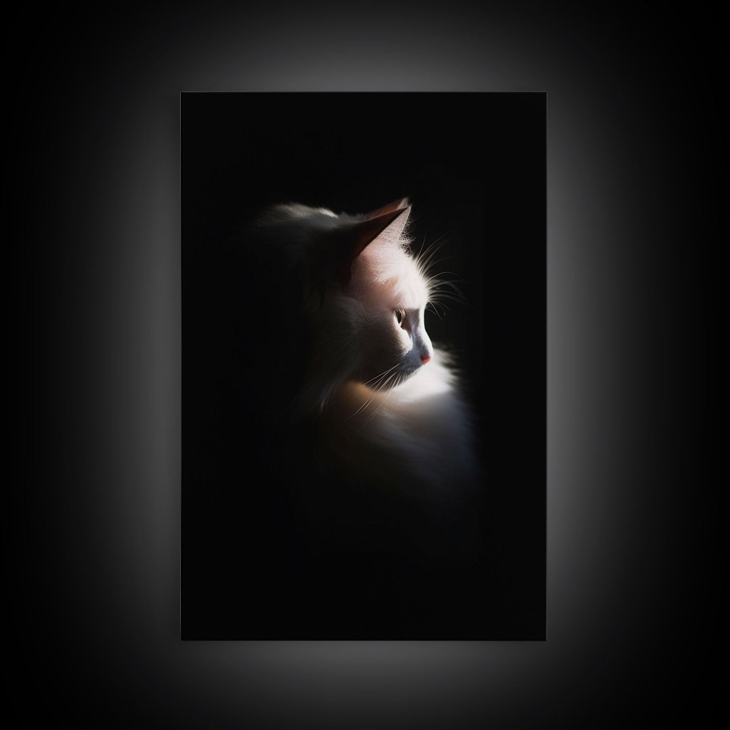 Portrait of a Beautiful Cat Sitting In The Sun, Framed Canvas Print, Cat Art, Cat Photography, Cat Wall Art