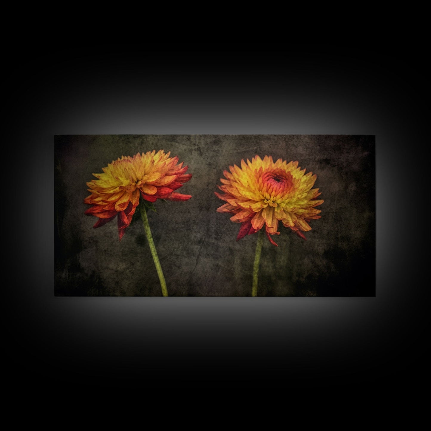 Orange Dalia Flowers Wall Decor, Floral Wall Art, Nature Print, Vibrant Art, Panoramic Wall Decor, Canvas Print, Wall Art, Framed Canvas Art