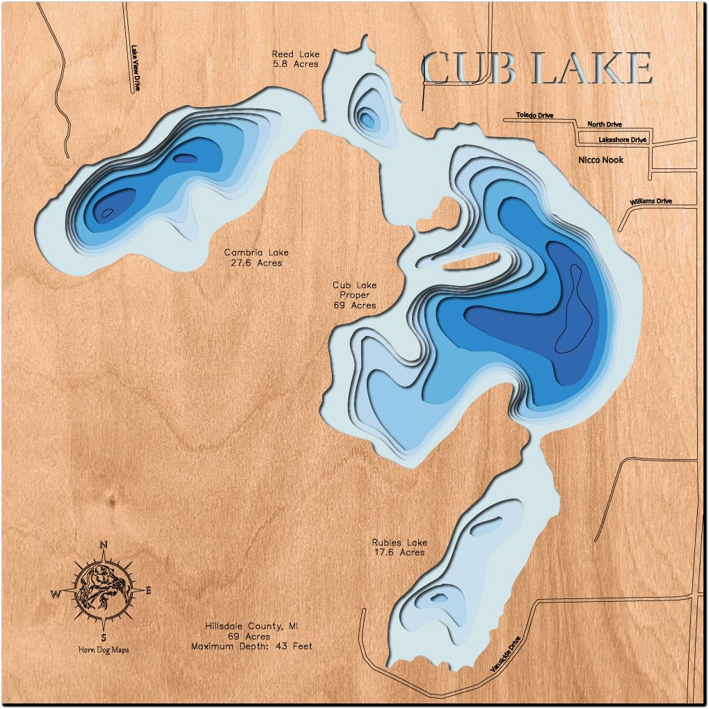 Cub Lake in Hillsdale County, Michigan