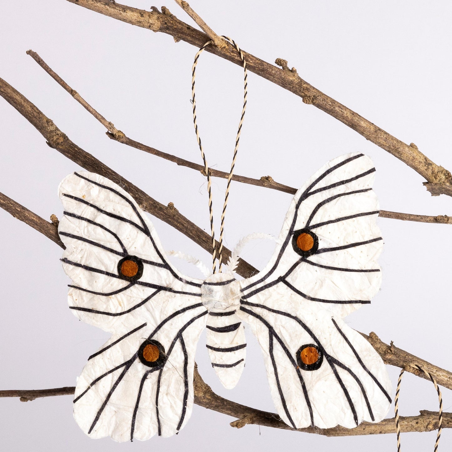 Madagascar Silk Moth Ornament - White