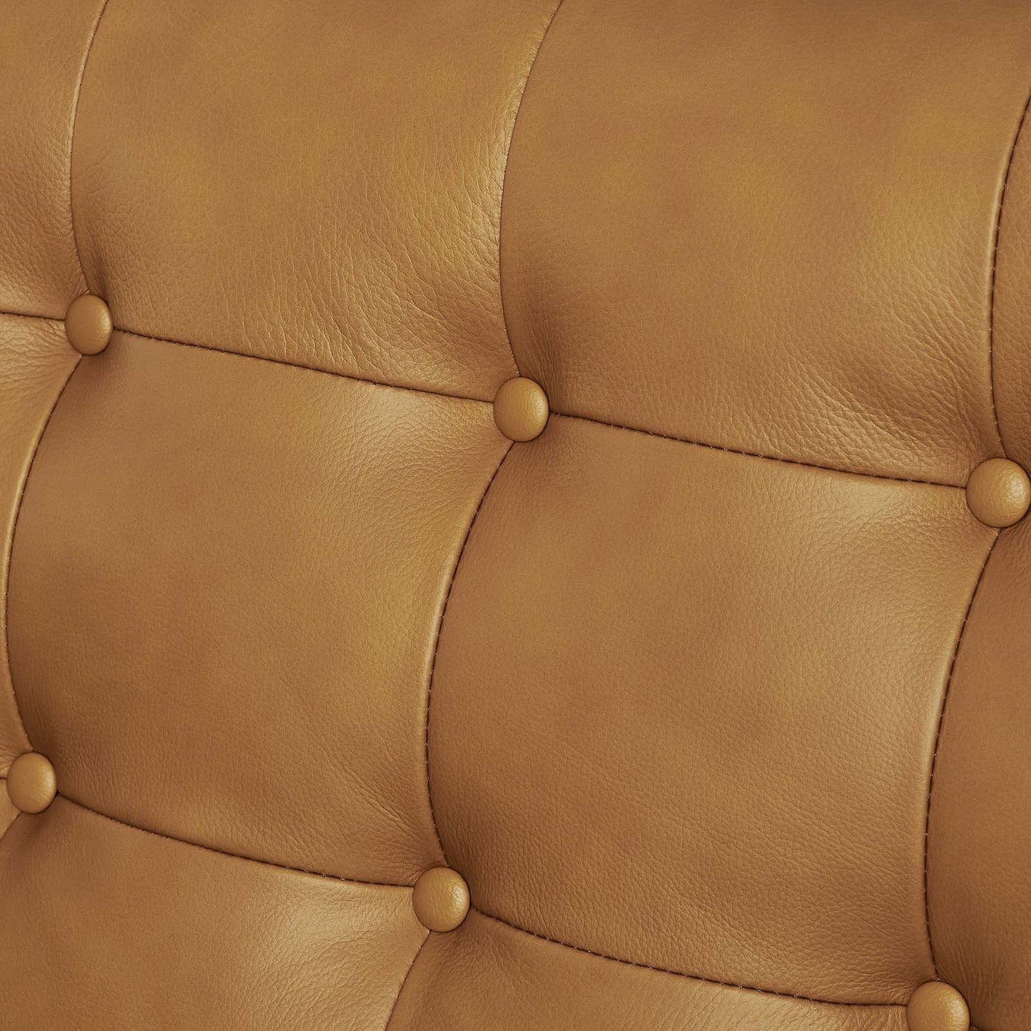 Exalt Tufted Leather Sofa by Modway
