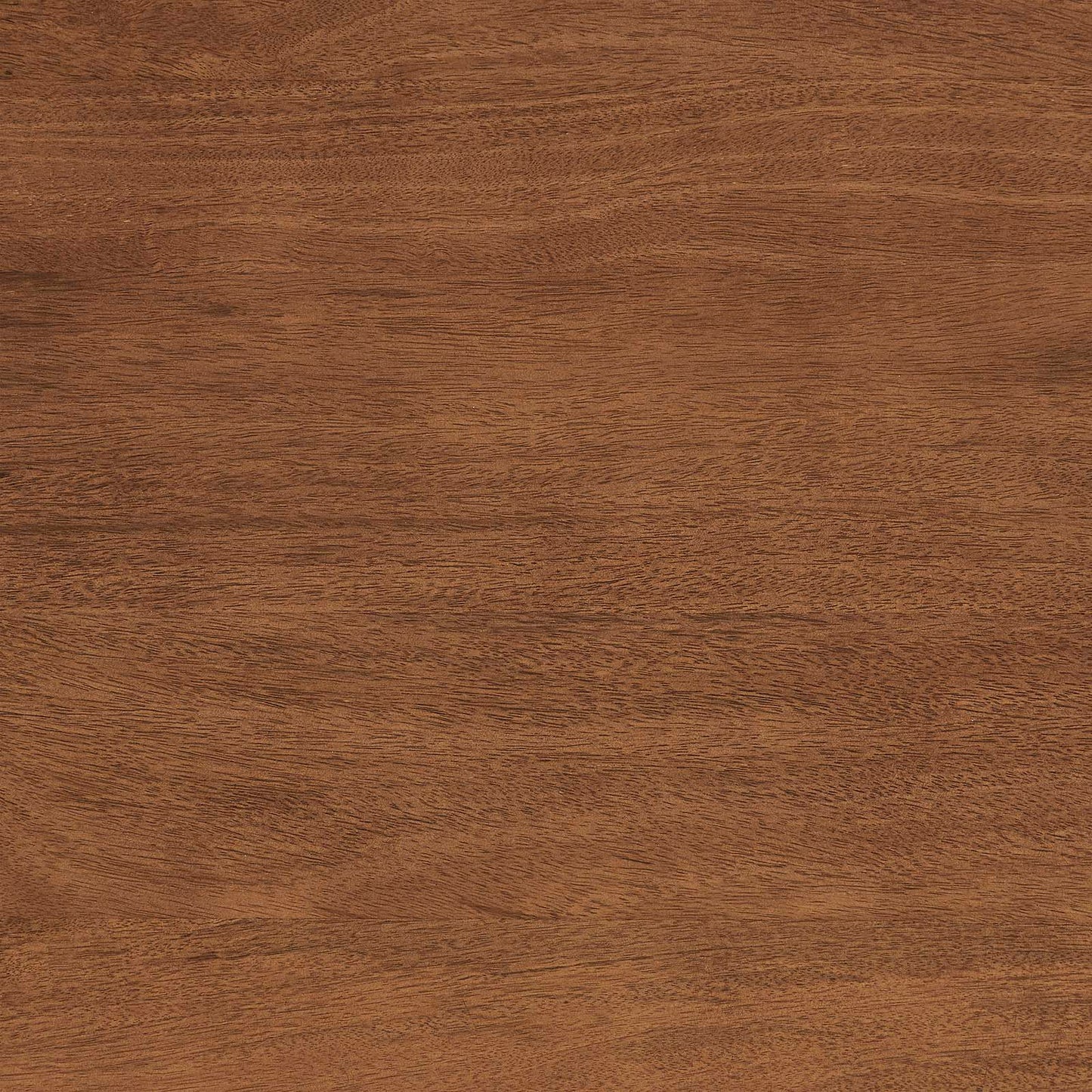 Amistad 72" Dining Table by Modway