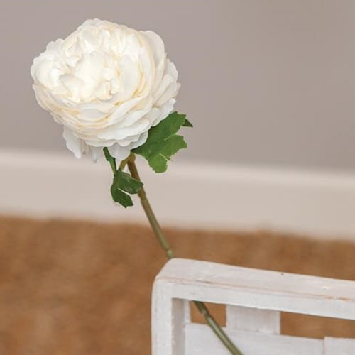 Peony Stem White  (Pack of 4)