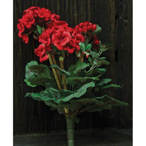 Geranium Bush 15"