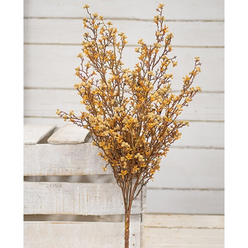 Star Flower Berry Bush - Earthtone
