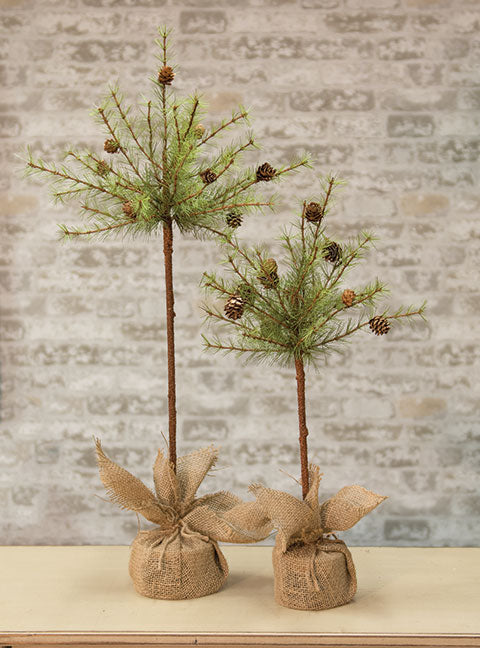 Cypress Topiary Tree 30"