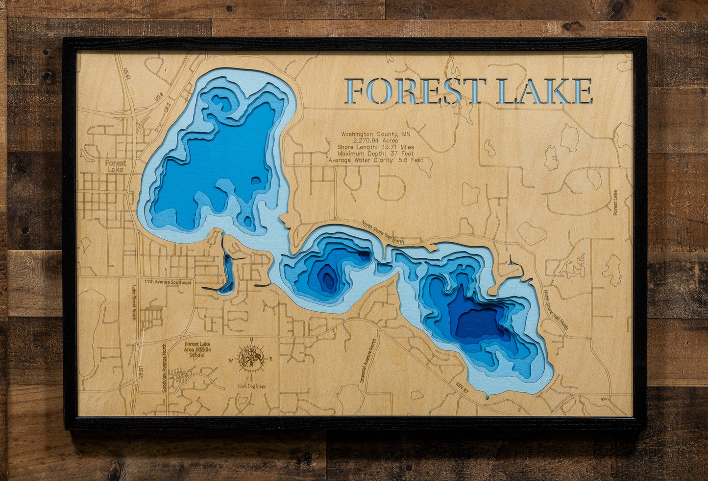 Forest Lake in Washington County, Minnesota