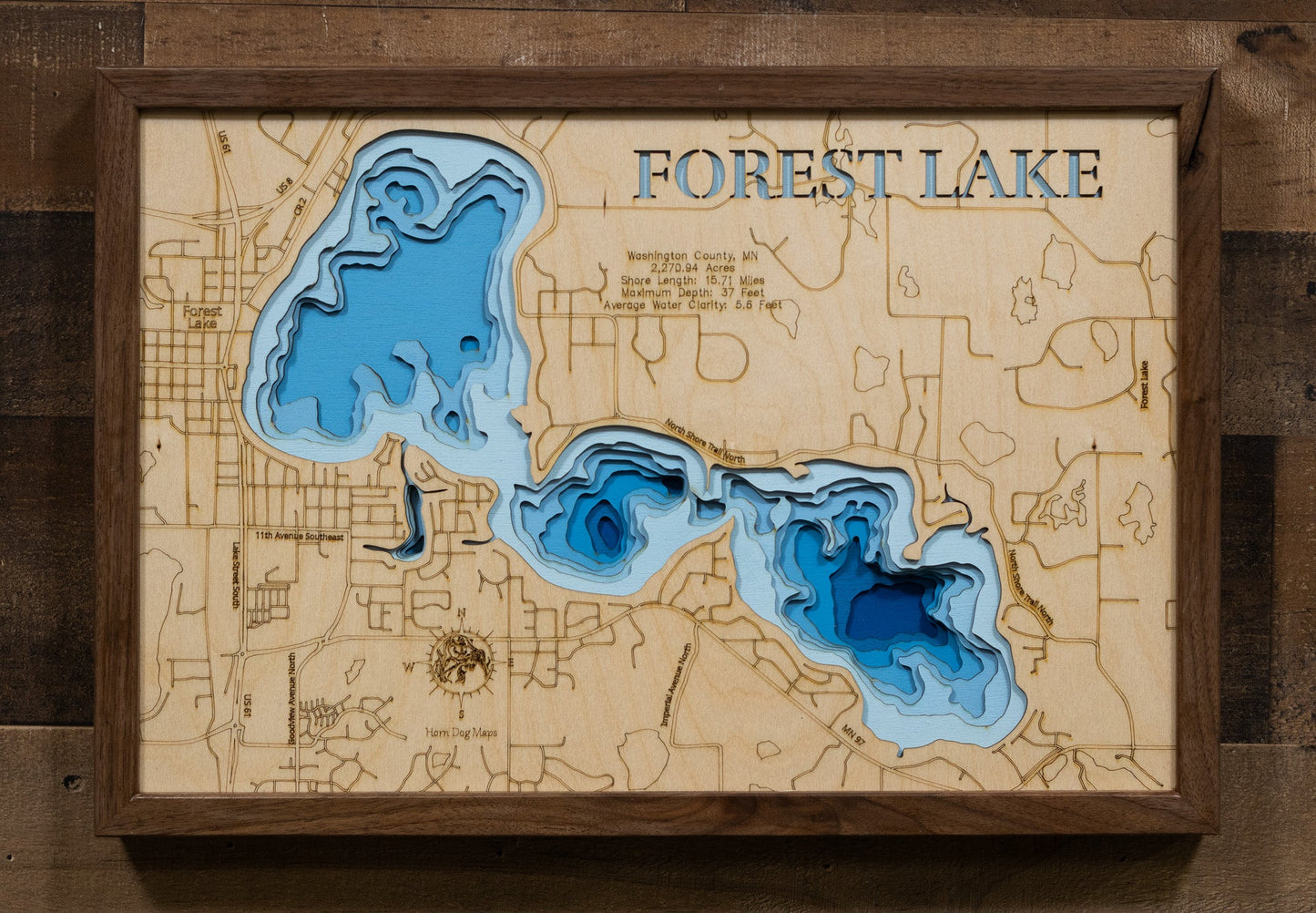 Forest Lake in Washington County, Minnesota
