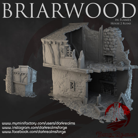 Briarwood House 2 Ruins