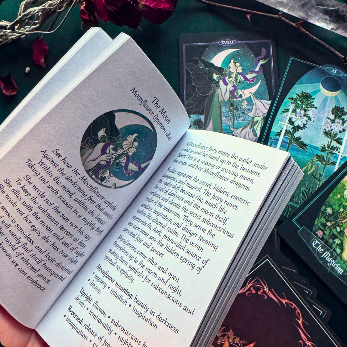 **NEW** Children of Ostara tarot card deck & book set- LIMITED GOLD EDITION