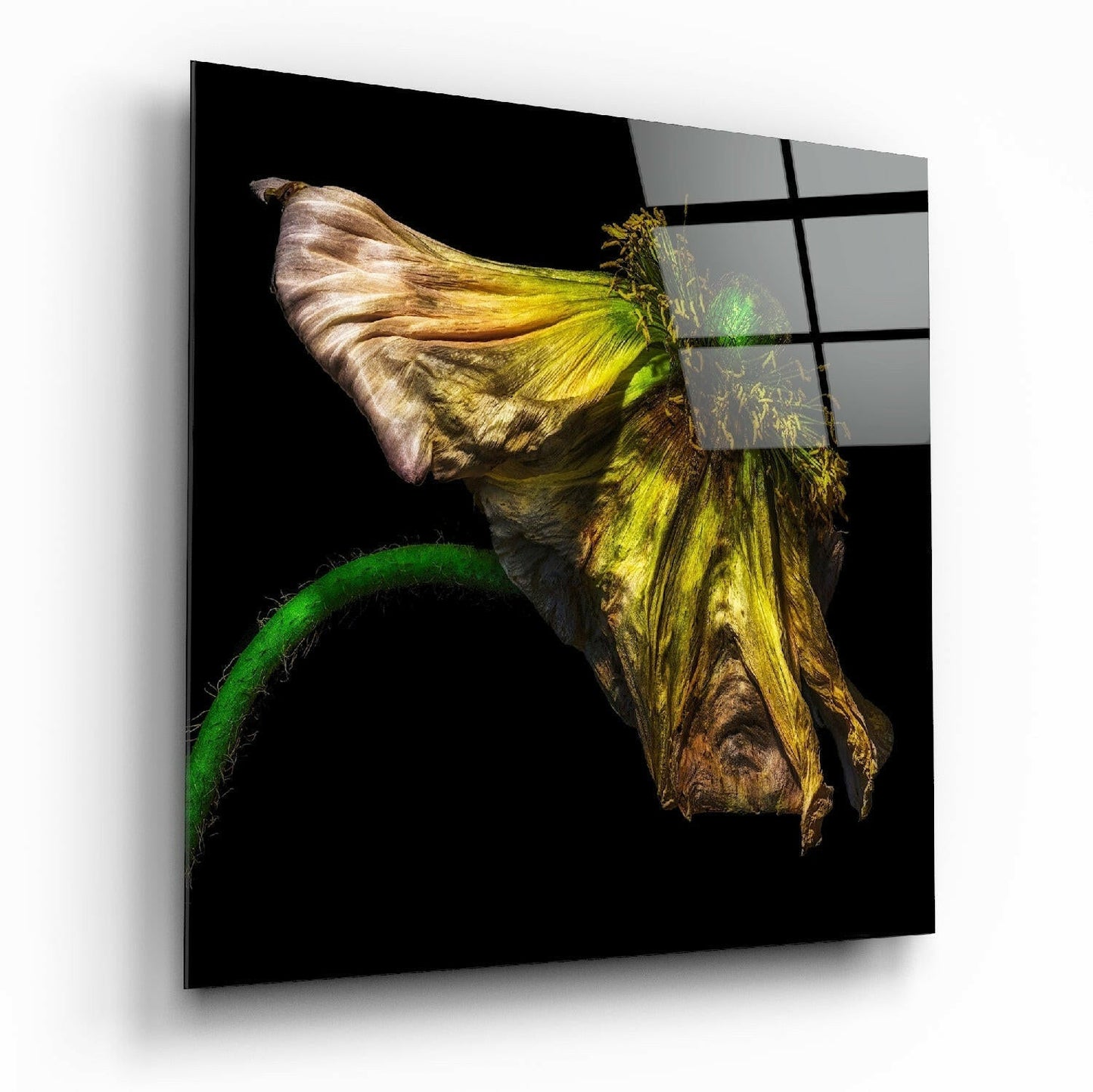 Flower Glass Wall Art