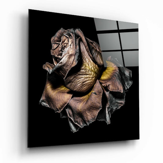 Dried Rose Glass Wall Art