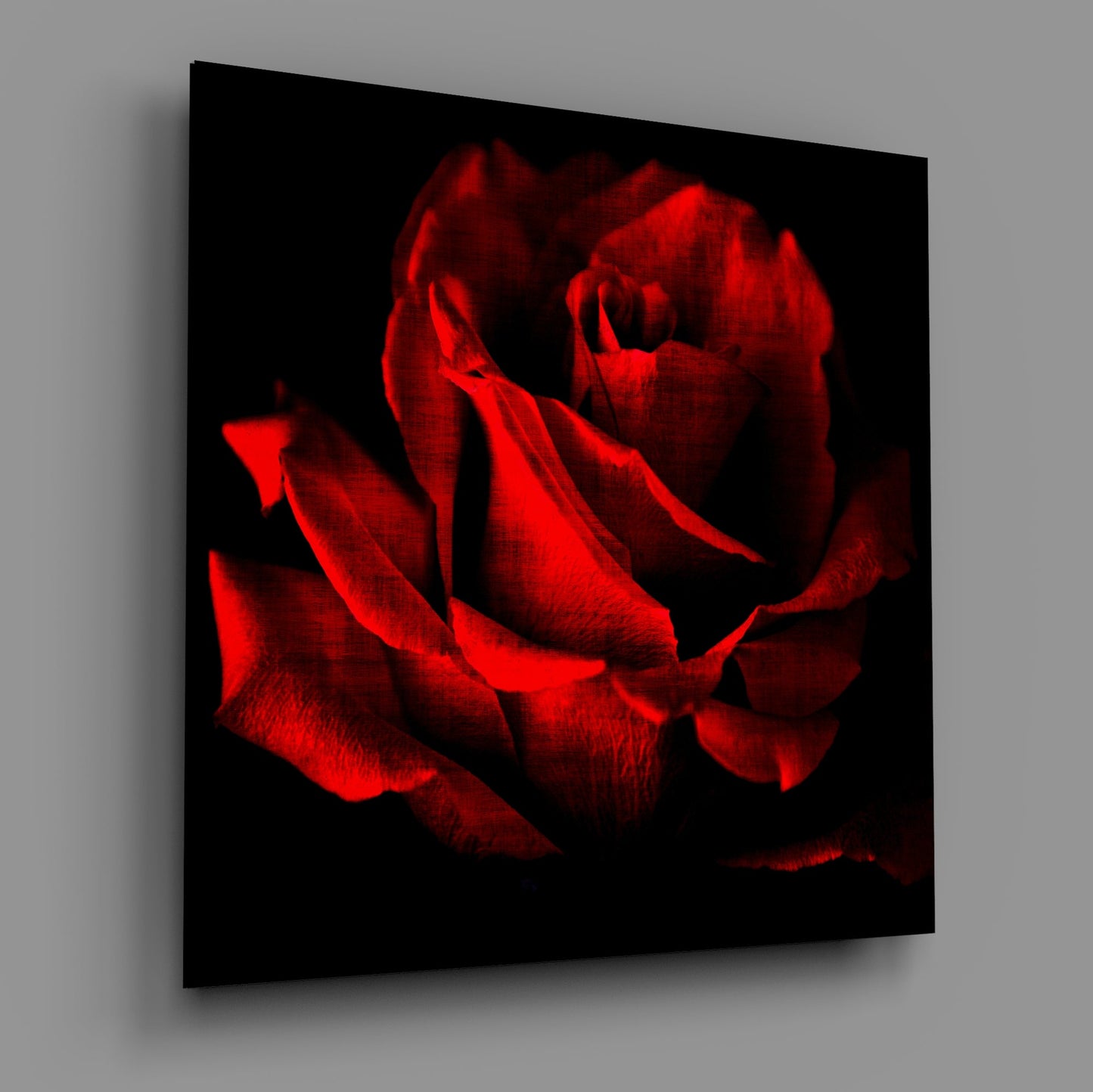 Red Rose Glass Wall Art