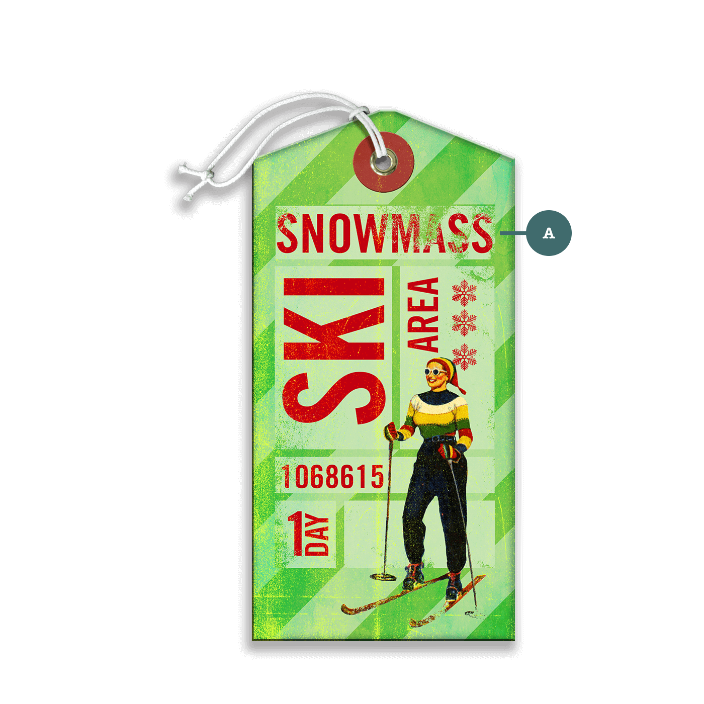 Green One Day Ski Pass - Luggage Tag