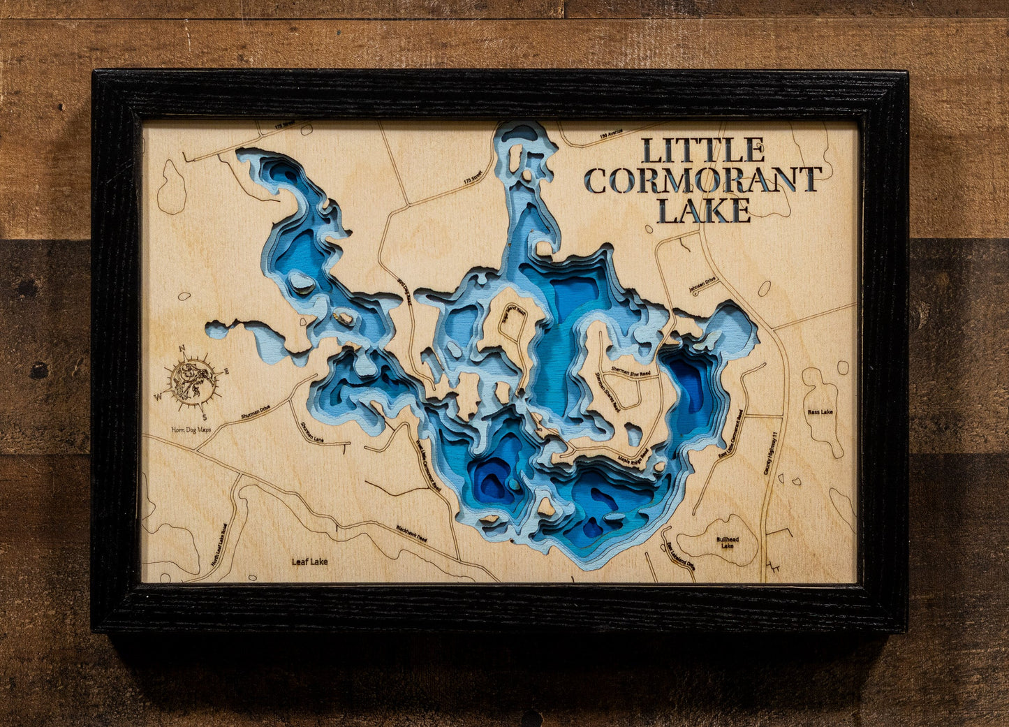 Little Cormorant Lake in Becker County, Minnesota