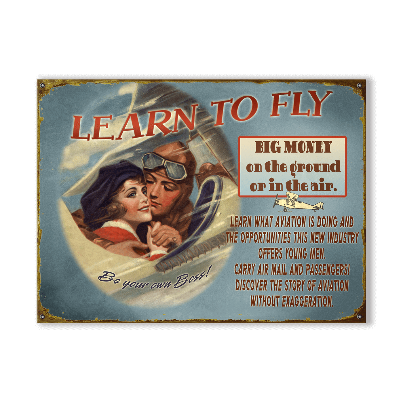 Learn to Fly: Generic - Wood & Metal Wall Art