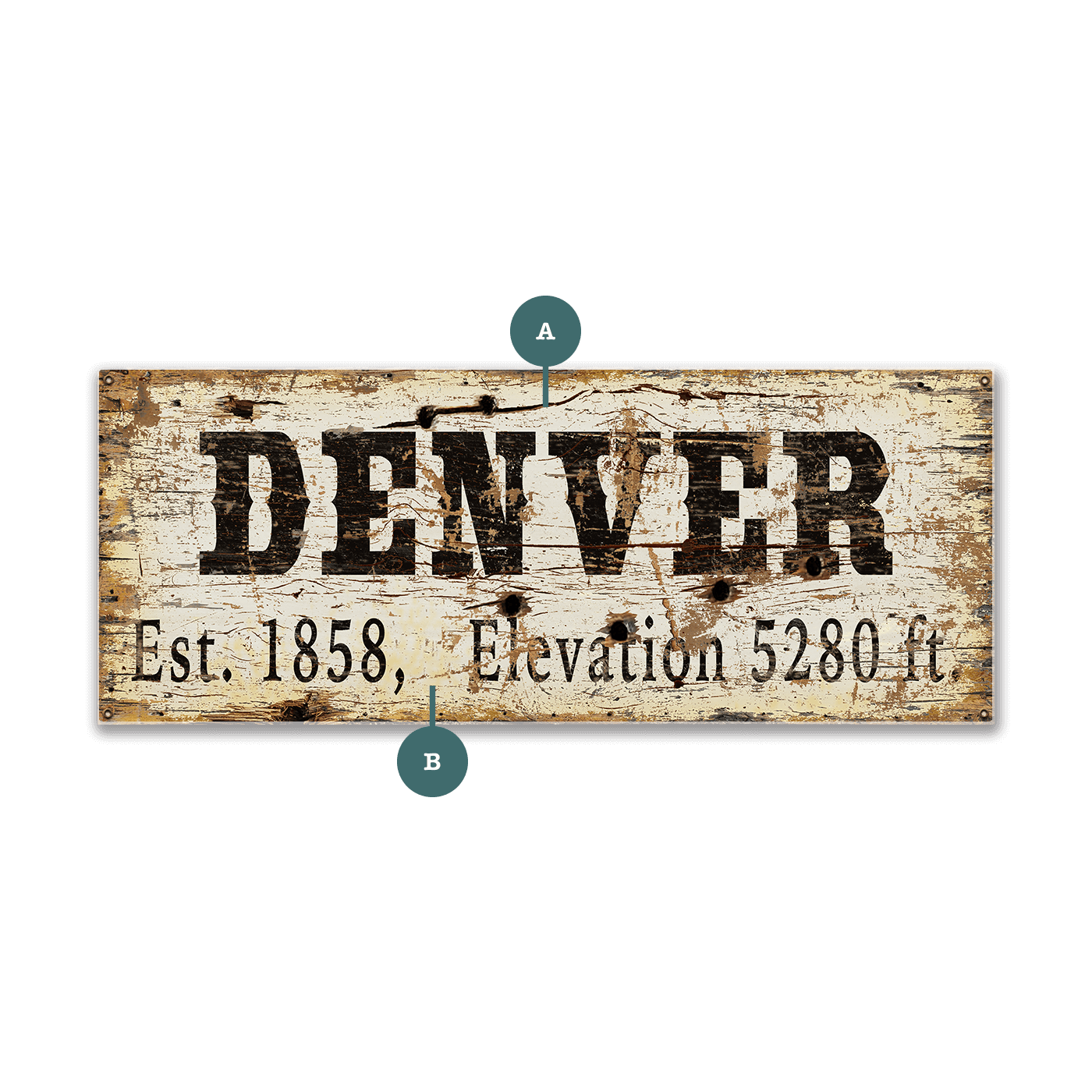 Denver Established & Elevation - Wood & Metal Wall Art
