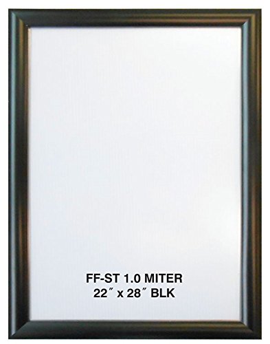 Premium Anodized Aluminum Poster Frame — Custom Size Made in the USA