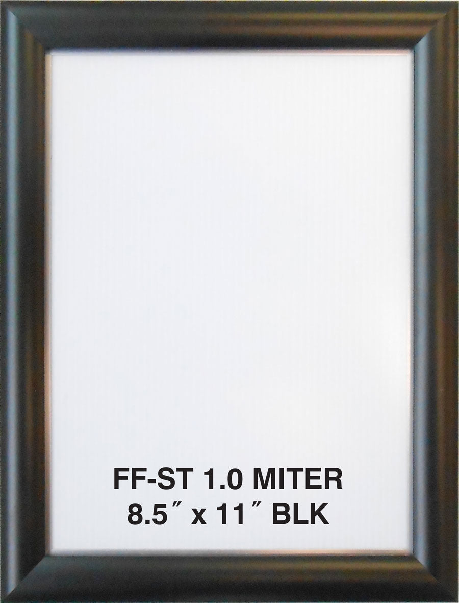 Premium Anodized Aluminum Poster Frame — Custom Size Made in the USA