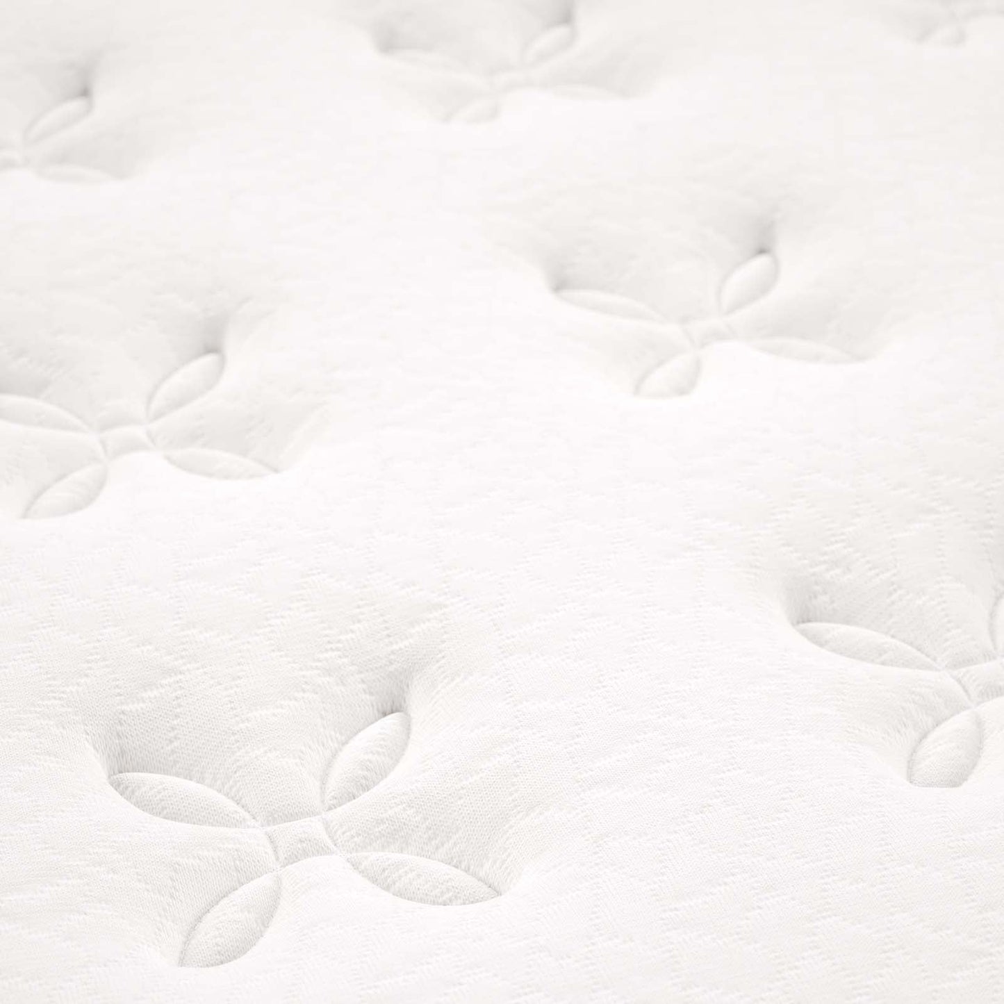 Jenna 6" Innerspring and Foam Twin Mattress by Modway