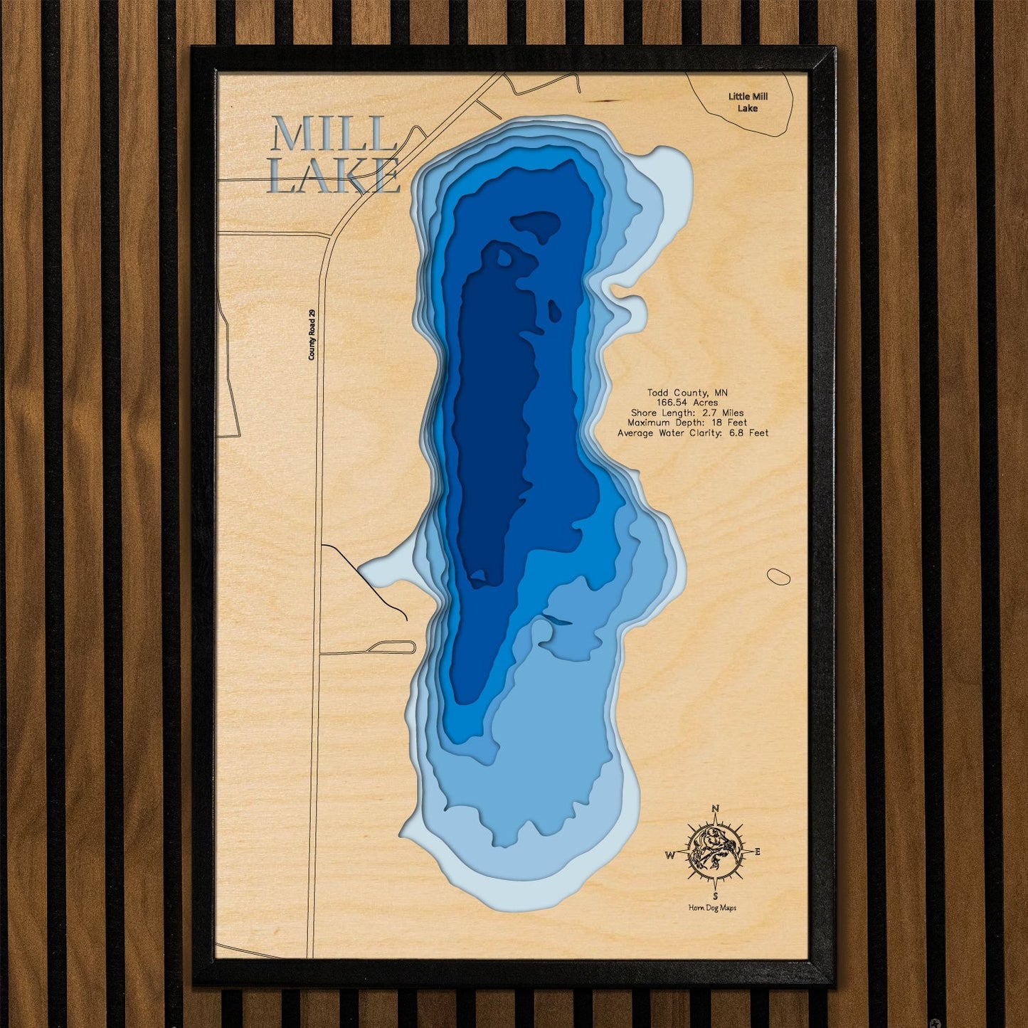 Mill Lake in Todd County, Minnesota