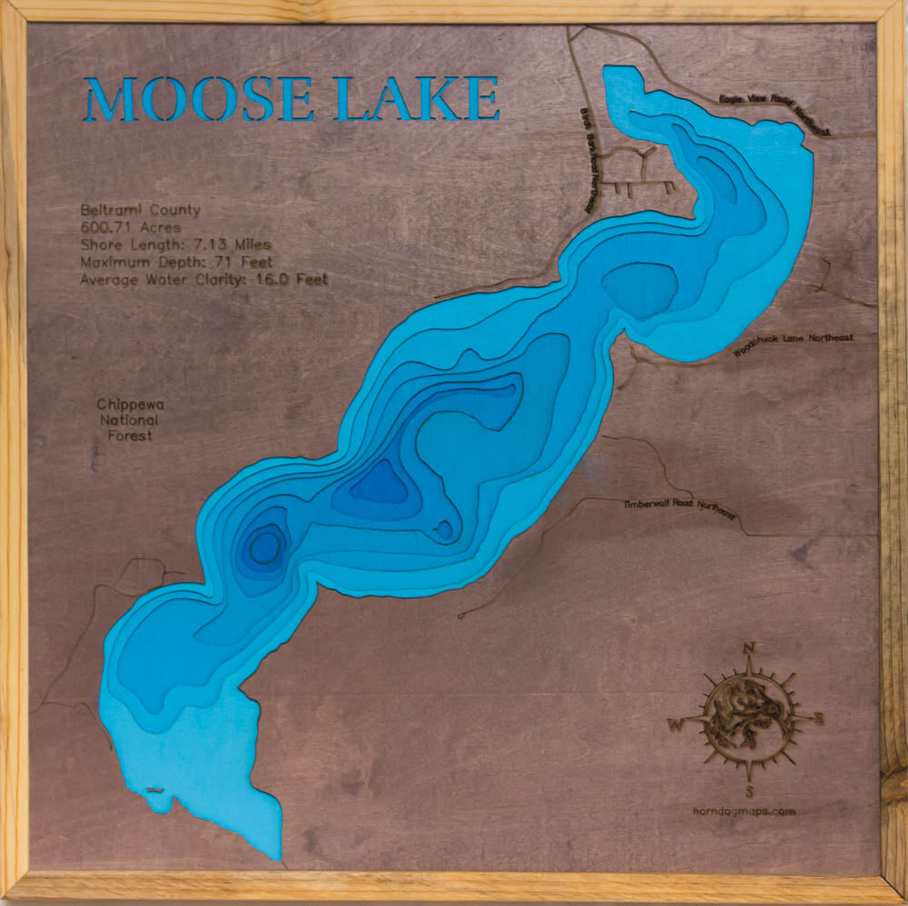 Moose Lake in Beltrami County, Minnesota